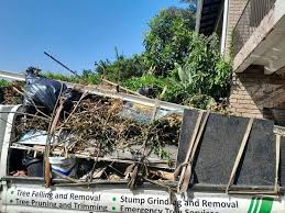 Best Construction Debris Removal  in Plainview, TN