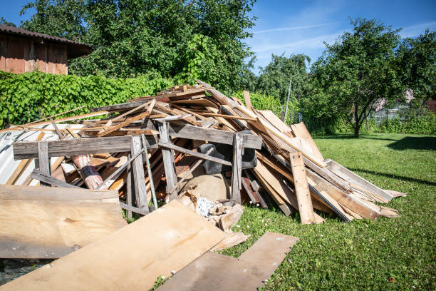 Best Shed Removal  in Plainview, TN